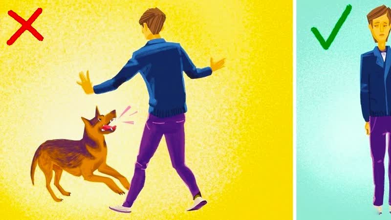 12 WAYS TO REACT IN AN EMERGENCY TO SAVE