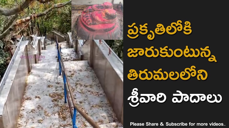 Tirumala Venkateswara Swamy Vaari Padalu Slipping into