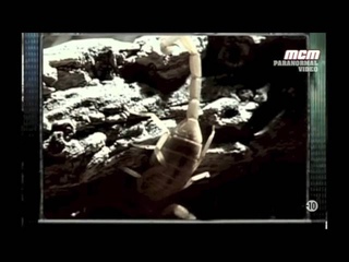 Paranormal video Chupacabra
