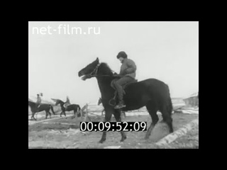 1984г. Новгород. детская спортивная школа. конный спорт
