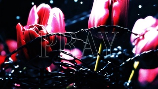 Gore. - Pray (Official Video)