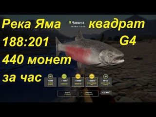 Река яма. точка 188:201 Фарм на Кете и Чавыче. рр4