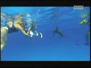 Вся правда об НЛО: Разговор с пришельцами. По материалам канала Discovery.