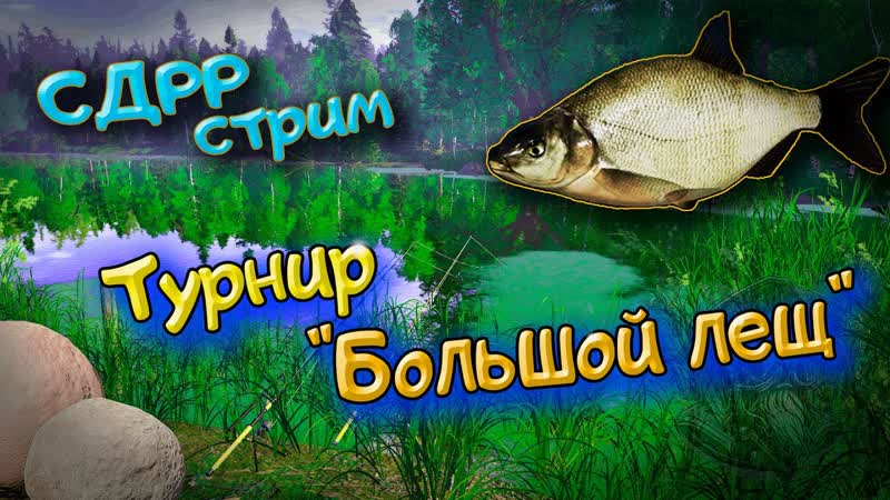Турнир для своих Большой лещ. Старый Острог. ( Русская