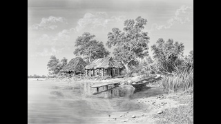 Импровизация procreate