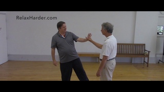 Tai chi Tuishou   The secret of Pushing hands