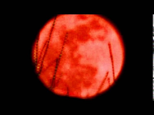 Blood Moon April 4,