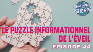 Episode 44 Analyse du 02 Juin 2022 Le Puzzle Informationnel de L'Eveil Lue par Christine