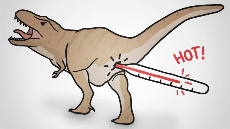 How To Take A Dinosaurs