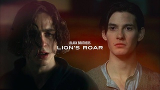 regulus & sirius | i’m a coward but so are you
