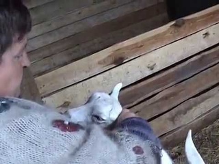 ЭМ-Технологии в домашнем хозяйстве