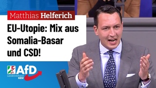 Die EU will einen Mix aus Somalia-Basar und CSD! – Matthias Helferich (AfD)