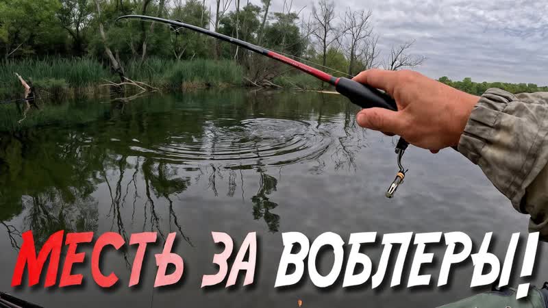 БРАКОНЫ ЖАЛОВАЛИСЬ, что РЫБЫ Но они просто не знали про МОЙ