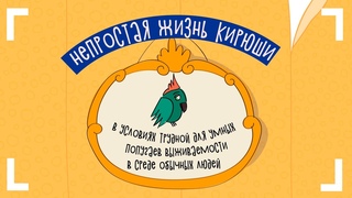 Непростая жизнь Кирюши в условиях трудной для умных попугаев выживаемости в среде обычных людей 101