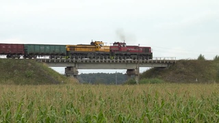Тепловозы ТЭМ ТМХ-064+049 / TEM TMH-064+049 between Radvilikis and Pakruojis